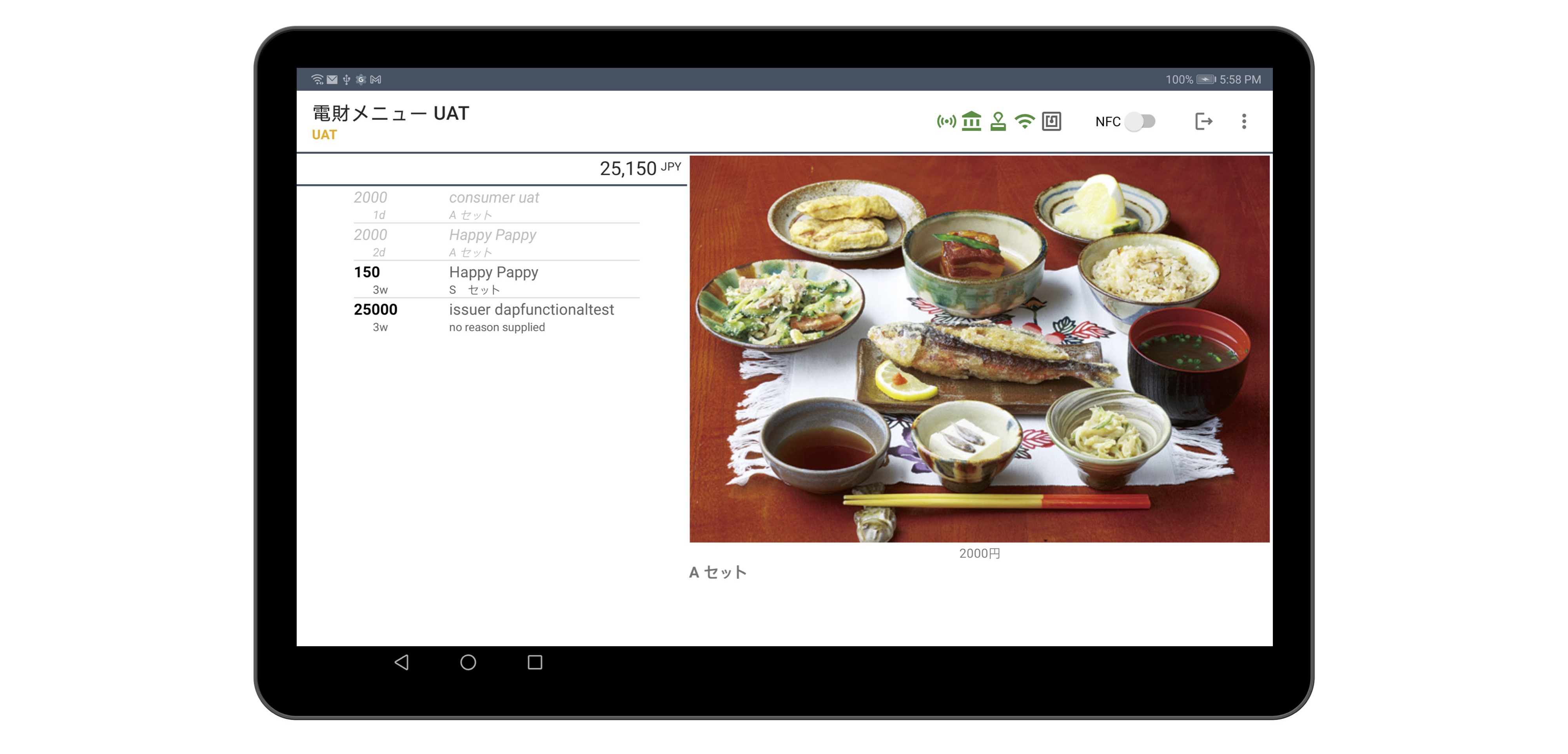 Merchant Wallet Screen